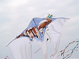 Cervia 2011-225